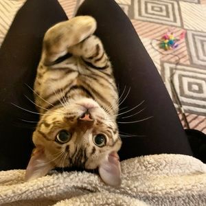 Meet your Posher, Danielle